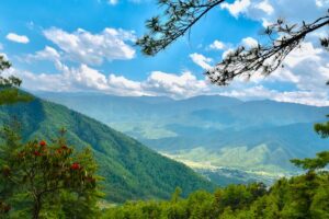 druk path trail